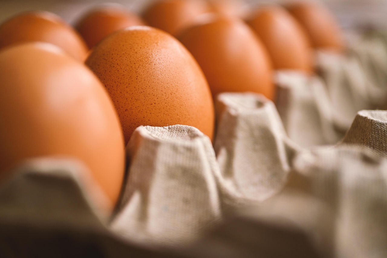 fat-burning foods - eggs